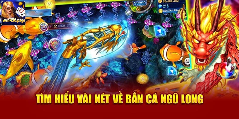 Tại sao bạn nên khám phá bắn cá ngũ long tại nhà cái WIN456?